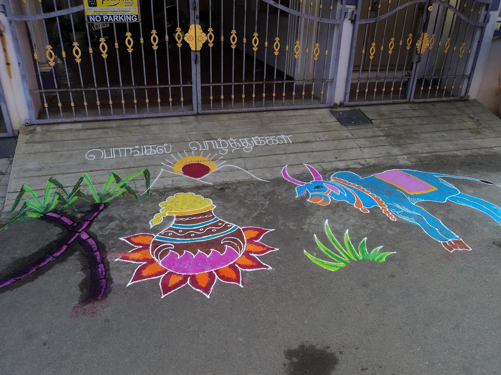 பொங்கல் பானையும் மாடும் வரையப்பட்ட வண்ணக் கோலம்